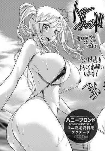 Honey Blonde Toranoana Gentei Shousasshi Mini Settei Shiryoushuu