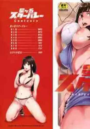 Hoshigaoka Star Volley