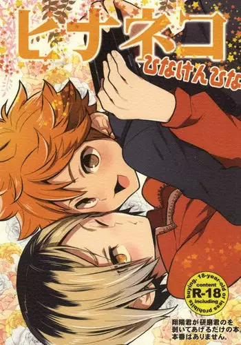 (IDLING ATTACKER7) [Chigen TORINO (S.kosugi)] Hina Neko (Haikyuu!!)