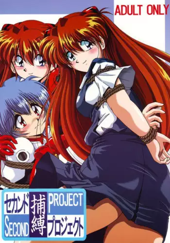 (CR36) [Thirty Saver Street 2D Shooting (Maki Hideto, Sawara Kazumitsu)] Second Hobaku Project (Neon Genesis Evangelion)