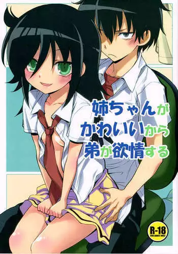 Nee-chan ga Kawaii kara Otouto ga Yokujo suru