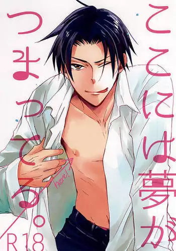 Koko ni wa Yume ga Tsumatteru.