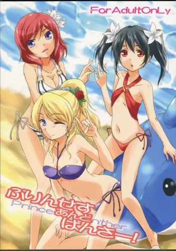 (C84) [Stratosphere (Urutsu)] Princess and Panther! (Love Live!) [English] [/u/ Scanlations]