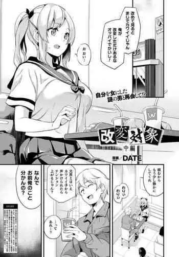 Kaihen Taishou Chuhen