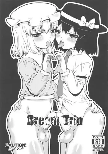 (C91) [Madou Shiryoushitsu (Arashi-D-Akira, Sasaki Teron, emina)] Dream Trip (Touhou Project)