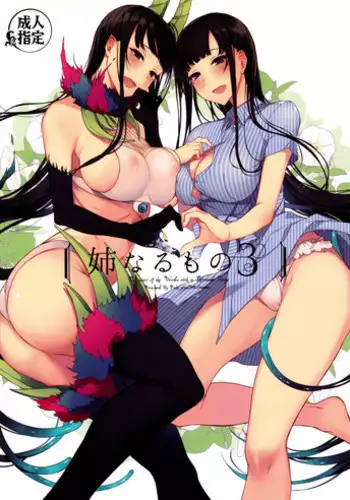 (C90) [Pochi-Goya. (Pochi.)] Ane Naru Mono 3 (Ane Naru Mono) [English] [SquigglesJP]