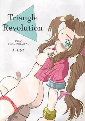 Triangle Revolution
