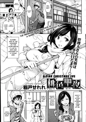 Momoiro Seiya | A Pink Christmas Eve
