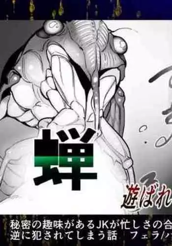 Semi x JK | Cicada x JK