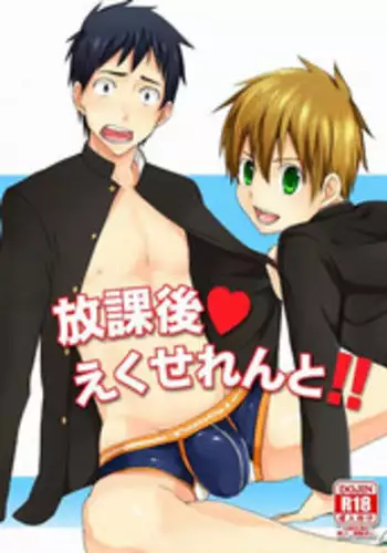 (C79) [TomCat (Kyouta)] Houkago Excellent