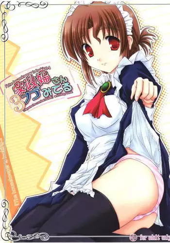 家政婦さんがみてる3