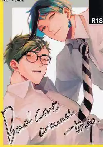 Bat Cat arond Trip．