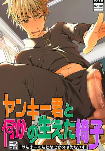 Yanki kun to nanika no haeta isu