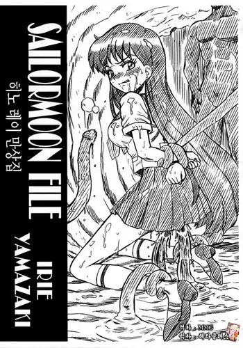 SAILORMOON FILE Hino Rei Gazoushuu