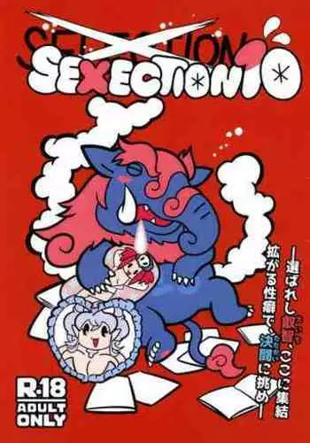 SEXECTION10