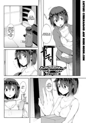 Wonder Collar Чудо-ошейник