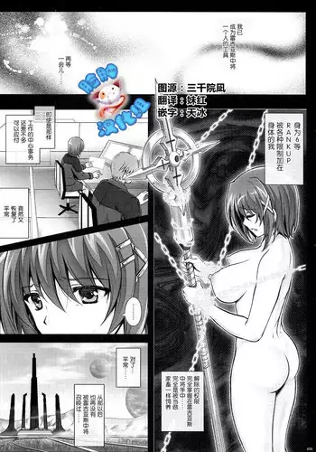 [Cyclone (Reizei, Izumi)] HAYATEN 2nd Days After (Mahou Shoujo Lyrical Nanoha) [Chinese] [脸肿汉化组]