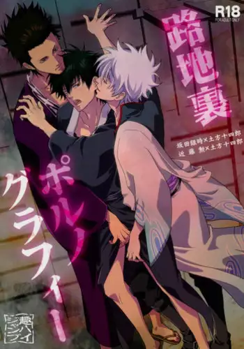 (C80) [Omomuki High Jump (Konpane)] Rojiura Pornography (Gintama)