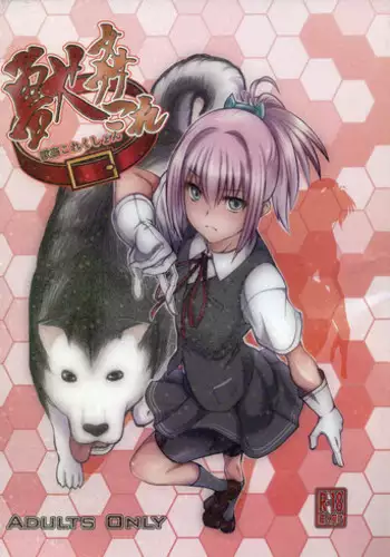 (SC61) [Zensoku Rider (Tenzen Miyabi)] Juukan Collection (Kantai Collection)