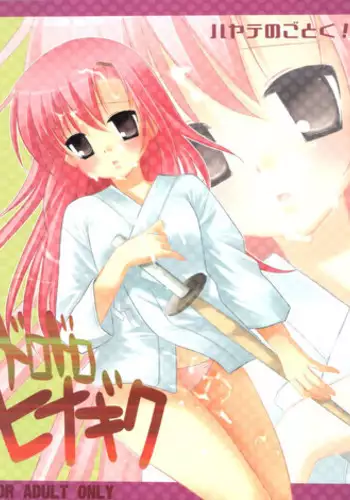 [Nagiyamasugi (Nagiyama)] Dorodoro Hinagiku (Hayate no Gotoku!)