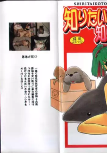 [Nekogen] Shiritai Koto Shiranai Koto