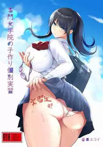 Meimon Jogakuin no Kozukuri Kobetsu Jisshuu | A Girl's College For Noble Families Baby-Making Exercises