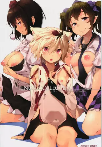 (Reitaisai 12) [Eclipse, Mochi-ya, Hannama (Rougetu, Karochii, Soine)] TENGU COLLECTION (Touhou Project)