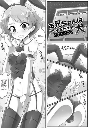 Onii-chan wa Inu | Onii-chan's a Dog