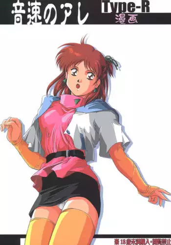 (C67) [Type-R (Rance)] Manga Onsoku no Are (Sonic Soldier Borgman)