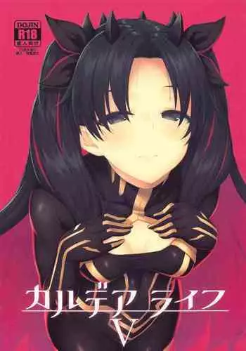 [Hirojuu Renshuuchou (Hiroya)] Chaldea Life V (Fate/Grand Order)