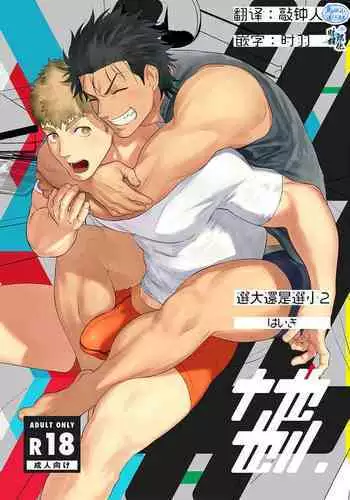 Dainarishounari 2 ｜选大还是选小2